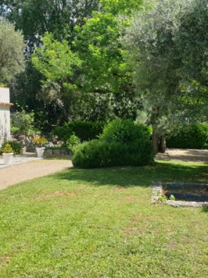 Jardin devant maison